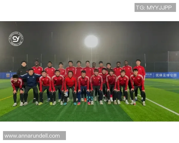 上海足球队逆袭之路欧锦赛特别报道见证梦想与坚持的力量