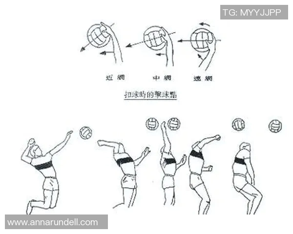 排球盛宴:深入解析杭州排球队的团队意识与战术魅力 排球盛宴:深入解析杭州排球队的团队意识与战术魅力