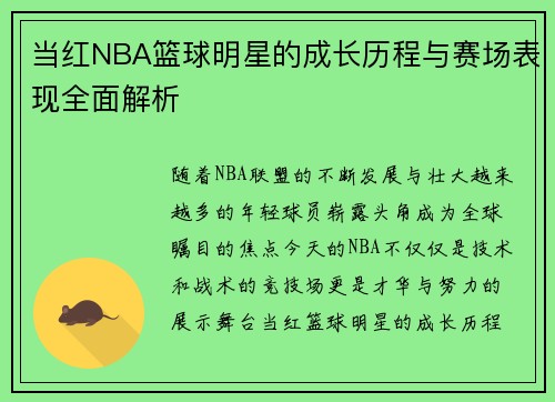 当红NBA篮球明星的成长历程与赛场表现全面解析