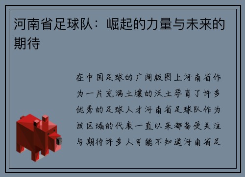 河南省足球队：崛起的力量与未来的期待