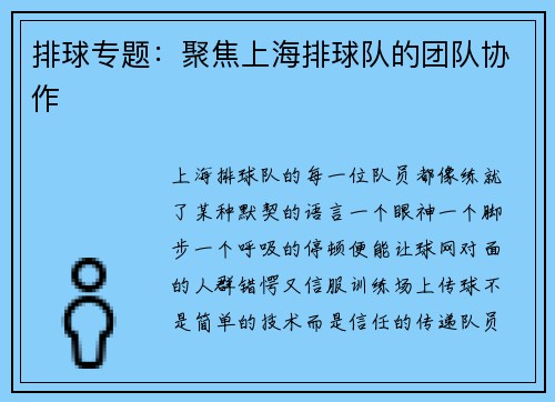 排球专题：聚焦上海排球队的团队协作
