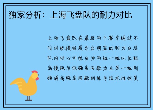 独家分析：上海飞盘队的耐力对比